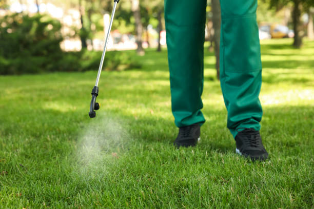 Best Cockroach Control Services  in San Juan Bautista, CA