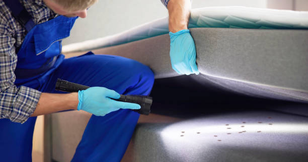 Best Termite Control Services  in San Juan Bautista, CA
