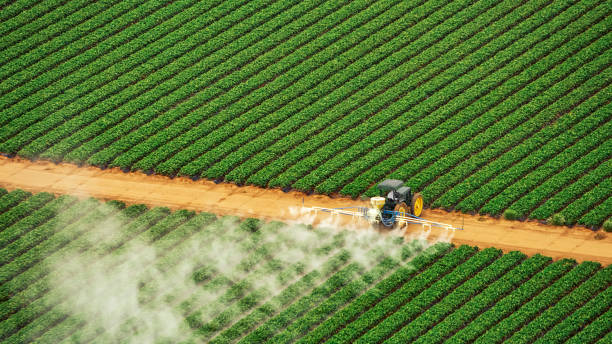 Best Commercial Pest Control Services  in San Juan Bautista, CA