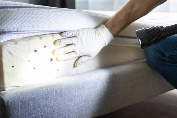 Best Best Pest Control Companies  in San Juan Bautista, CA