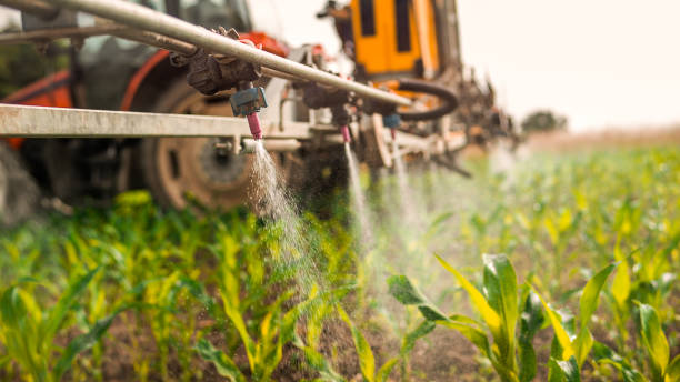 Best Pest Prevention Services  in San Juan Bautista, CA